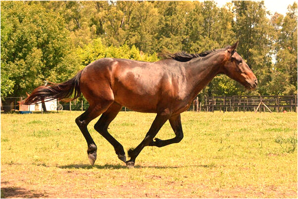 夢到碎了兩個玉手鐲是什麼啟示_周公解夢官網