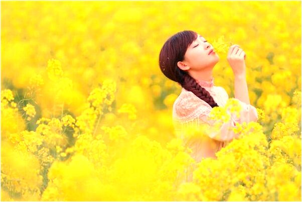 夢到了很多孝子什麼寓意_周公解夢官網