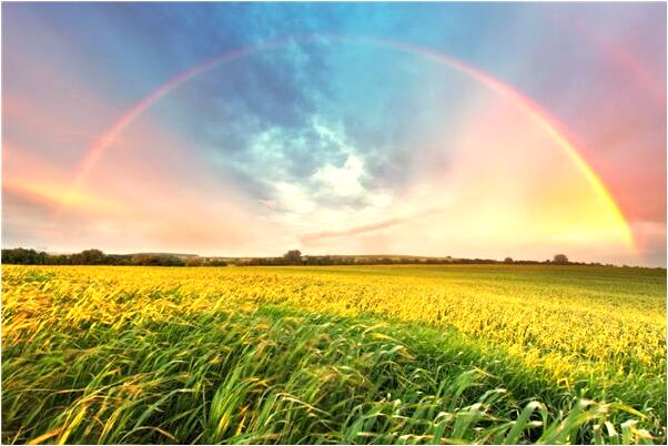 夢到了行車炸了是啥預兆_周公解夢官網