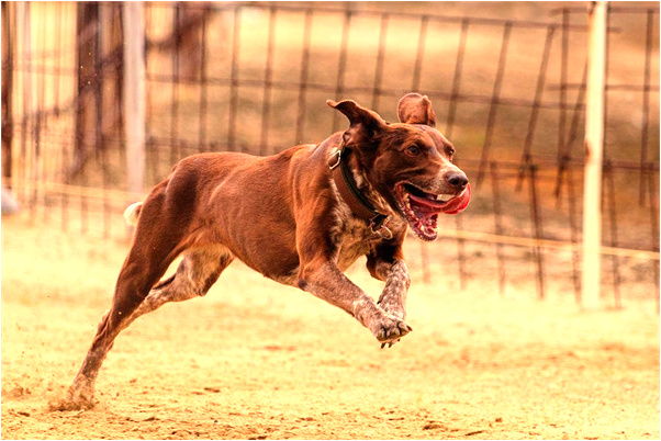 夢到袖子掉了代表什麼_周公解夢官網