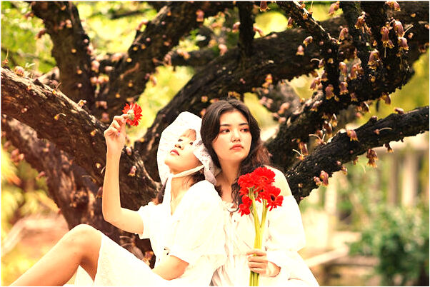 夢到車軋龍是什麼意思_周公解夢官網