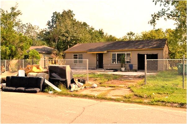 夢見經常蛇然後抓住家人有什麼預示嗎_周公解夢官網