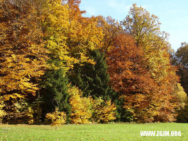 夢見主動辭職_周公解夢夢到主動辭職是什麼意思_做夢夢見主動辭職好不好_周公解夢官網