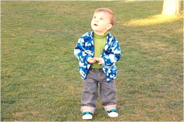 夢見用棍子打蛇有什麼預示嗎_周公解夢官網