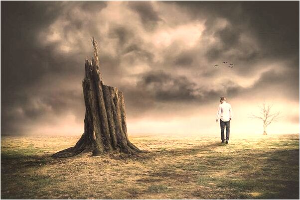 夢到了做千層餅有什麼說法_周公解夢官網