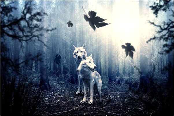 夢到只聽到說話沒看到人是凶兆還是吉兆_周公解夢官網