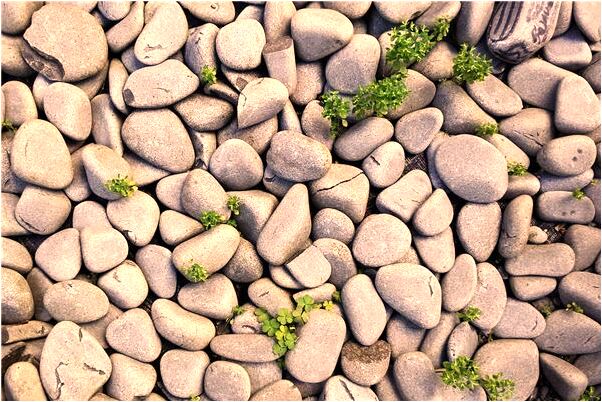 夢到女人自己的鞋髒了意味著什麼_周公解夢官網