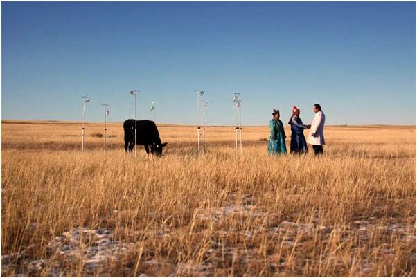 夢到了躲黑車人攆著把白房撞塌是什麼徵兆_周公解夢官網