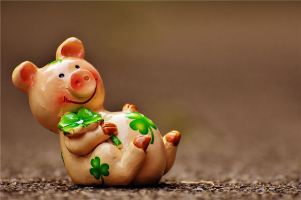 07年的屬相是_十二生肖