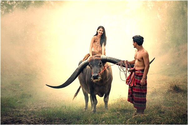 夢到了別人送禮預示什麼_周公解夢官網