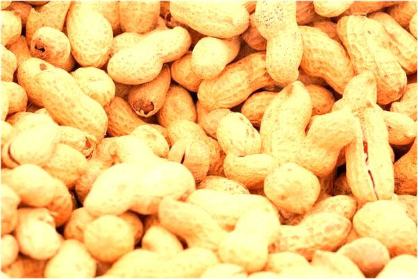 夢到了麵包車不見了代表什麼_周公解夢官網