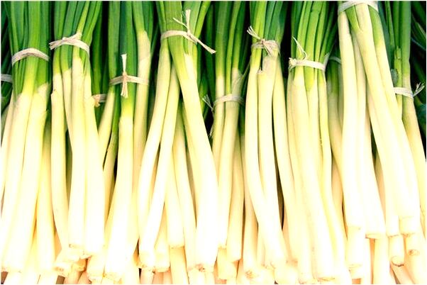 夢到沒有手腳的死人是好是壞_周公解夢官網