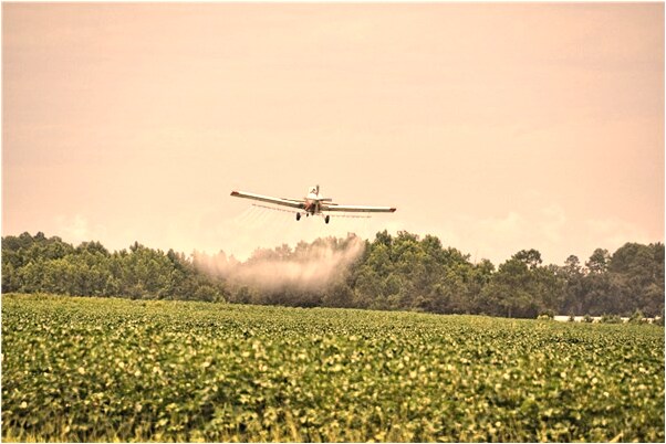 夢到經常在河裡撿鴨蛋有何寓意_周公解夢官網