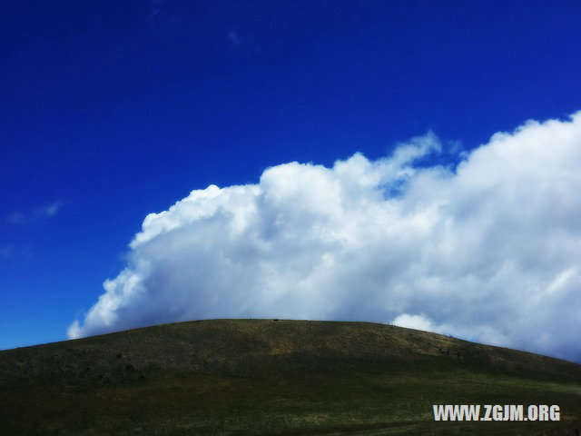 夢見爛白菜_周公解夢夢到爛白菜是什麼意思_做夢夢見爛白菜好不好_周公解夢官網