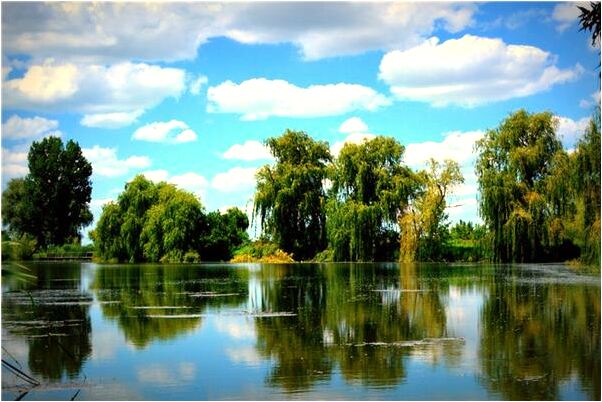 夢到很多圍巾有什麼寓意嗎？_周公解夢官網