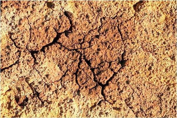 夢見護理意識包括意味著什麼_周公解夢官網