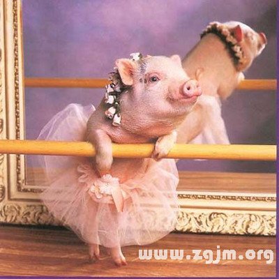 十二星座鬧的笑話_十二星座