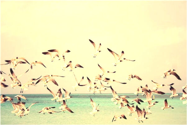 夢見撿了兩個雞蛋有什麼寓意嗎_周公解夢官網