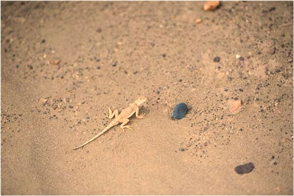 夢見活人和死人一起躺在棺材裡預示著什麼_周公解夢官網