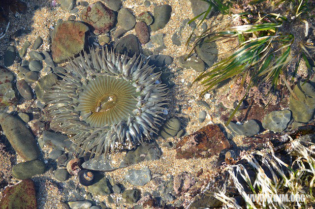 夢見房子漏水_周公解夢夢到房子漏水是什麼意思_做夢夢見房子漏水好不好_周公解夢官網