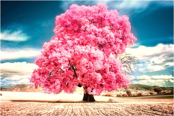 夢到已死的人輸錢給我有什麼意思嗎_周公解夢官網