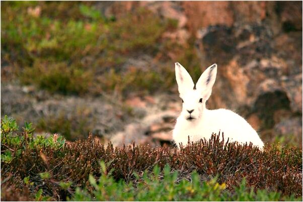 夢到了發大水但有退去是好是壞_周公解夢官網