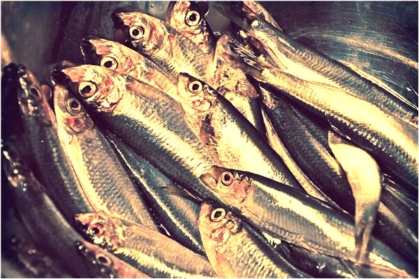 夢到古屍周偉發光是好是壞_周公解夢官網