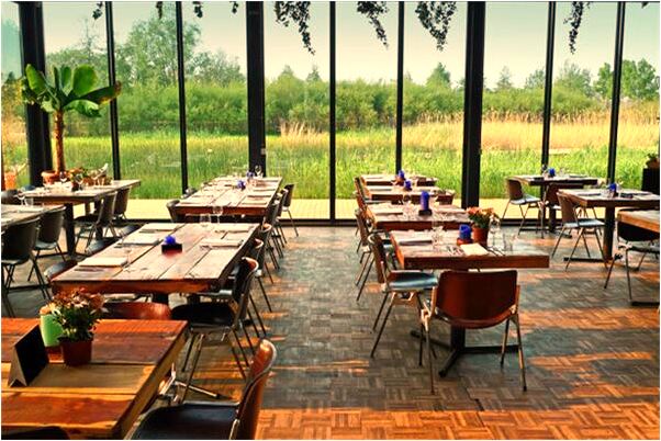 夢到了送我貓是不是好的徵兆呢_周公解夢官網