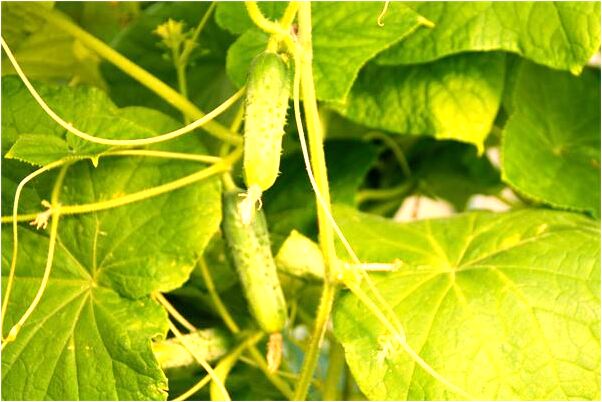 夢到了我洪水淹蓋水田河流什麼預兆_周公解夢官網