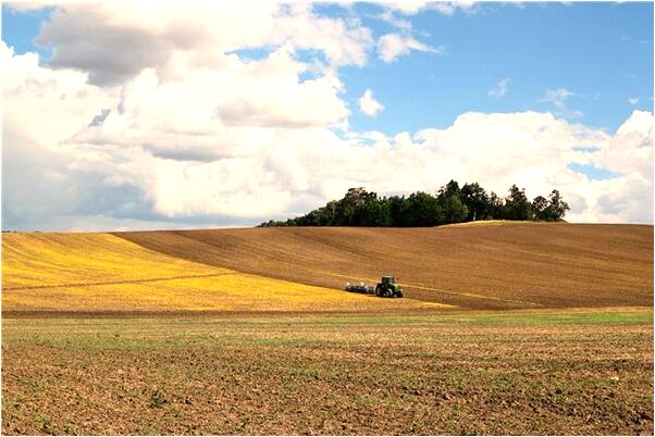 夢到抓了四隻是好是壞_周公解夢官網