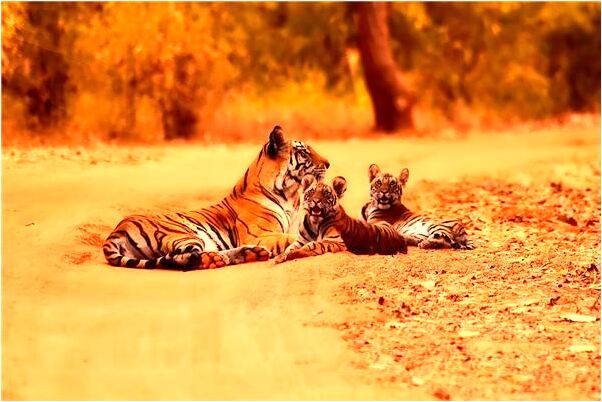 夢到了小鬼帶路是什麼意思？_周公解夢官網