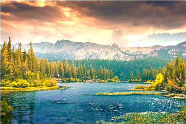 夢到了自己的手指甲從中間劈了有什麼寓意嗎_周公解夢官網