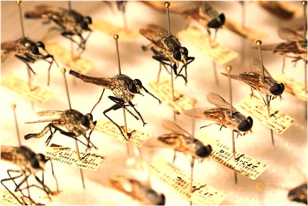 夢到別人打針手出血是啥預兆_周公解夢官網