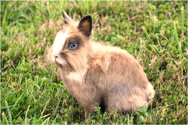 夢到過生有人送很多錢什麼預兆_周公解夢官網