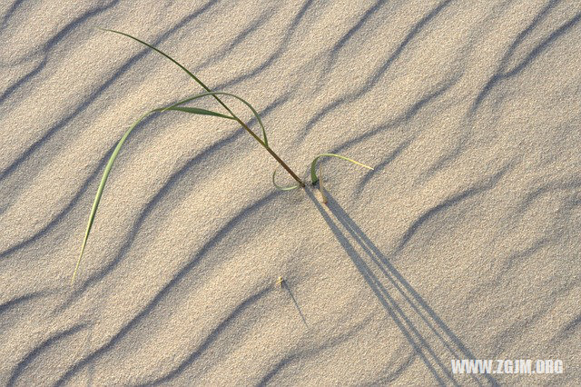 夢見光著腳走路_周公解夢夢到光著腳走路是什麼意思_做夢夢見光著腳走路好不好_周公解夢官網