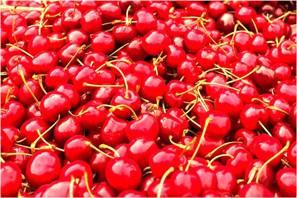 夢到經濟學家是怎么回事_周公解夢官網