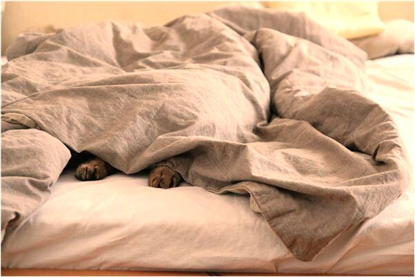 夢到了樓房掛燈籠預示什麼_周公解夢官網