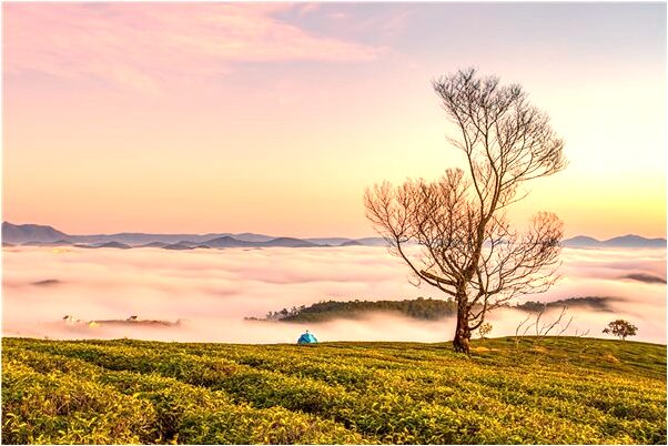 夢見父親打架受傷是什麼徵兆_周公解夢官網