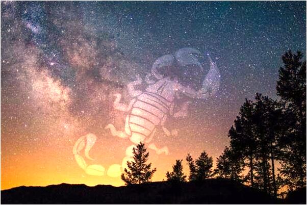 夢到了上語文課和女同事親熱是什麼意思_周公解夢官網