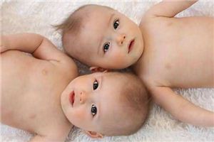 Pregnant women dream of twins _ what is meant by the duke of zhou interprets pregnant women dream of twins _ pregnant women dream of the twins is good _ duke of zhou interprets website