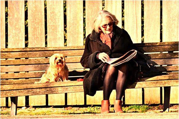 夢到窗掉了有什麼徵兆_周公解夢官網