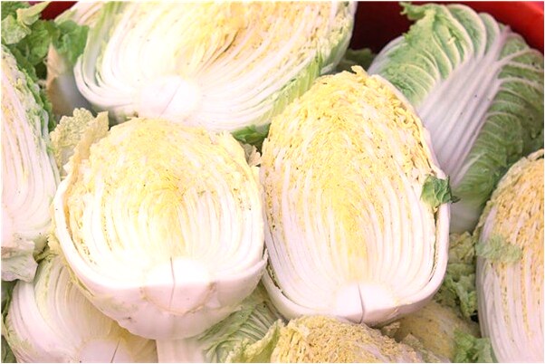 夢到了自己踩到棺材了有什麼意思_周公解夢官網