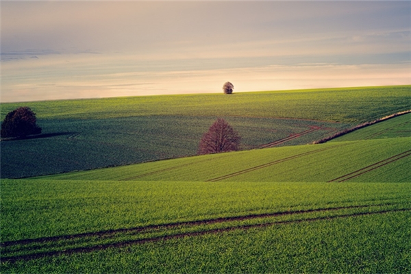 夢到了土地被占用意味著什麼_周公解夢