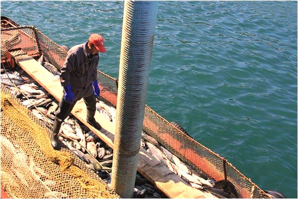 夢到了媽媽在用我賣的化妝品有什麼說法_周公解夢官網