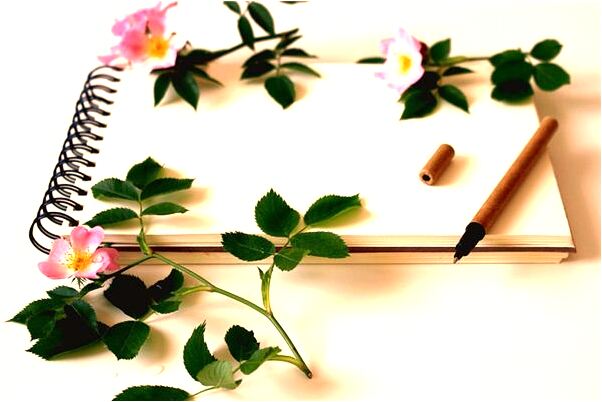 夢見自己被領導罵好不好_周公解夢官網