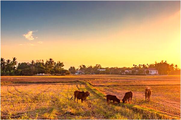 夢到眼皮癢什麼寓意_周公解夢官網