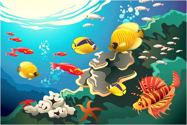 夢見自己看朋友在海水裡打球是什麼意思_周公解夢官網