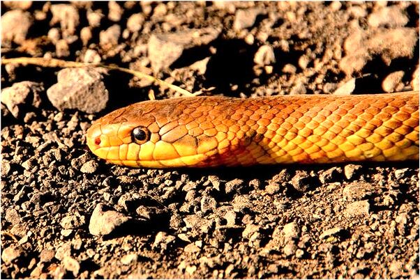 夢到了別人送給舊衣服預示著什麼_周公解夢官網