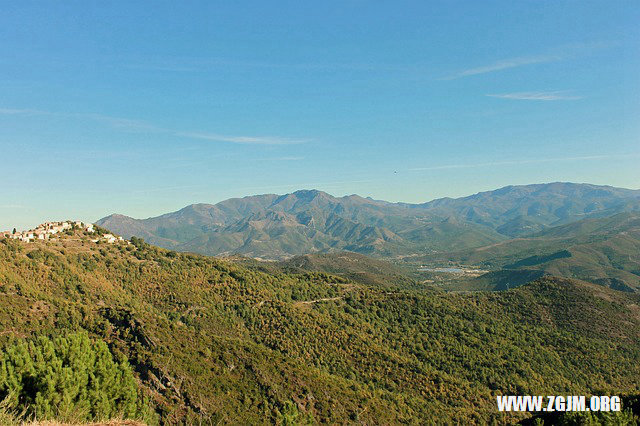 夢見狗流血_周公解夢夢到狗流血是什麼意思_做夢夢見狗流血好不好_周公解夢官網