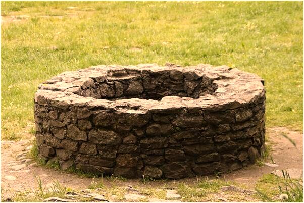 夢到種胡蘿蔔和蝴蝶意味著什麼_周公解夢官網